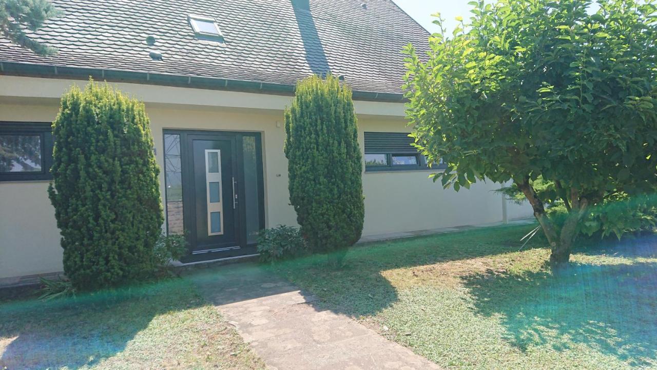 Apartamento Logement Entier: Route Des Vins.Wintzenheim Exterior foto