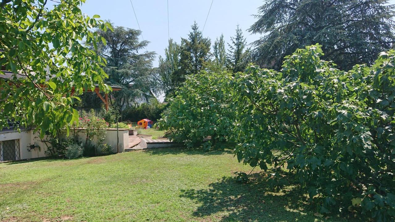 Apartamento Logement Entier: Route Des Vins.Wintzenheim Exterior foto
